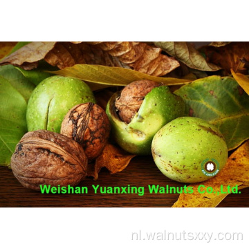 Walnut Kernels Light Pieces Concurrerende prijs